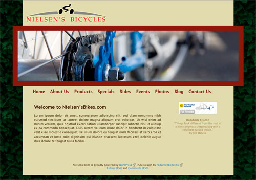 Nielsen's Bikes